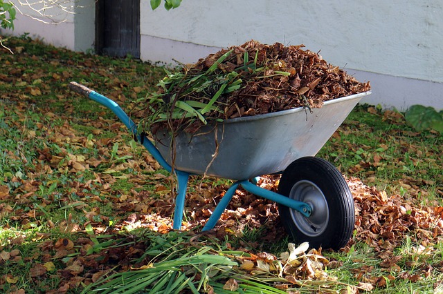What is the proper way to winterize a garden?