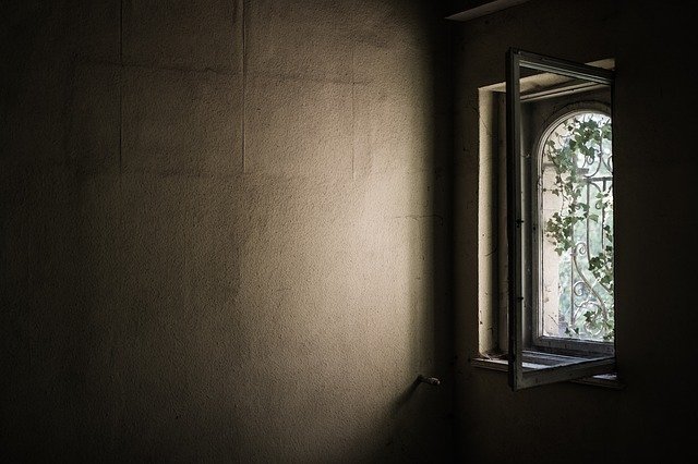 How to get rid of mold in the house